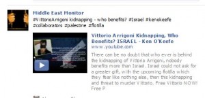 Middle East Monitor_1302873025303